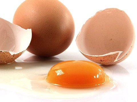 Сальмонелла в яйцах: как защитить себя?