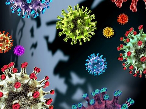 Различные штаммы коронавируса