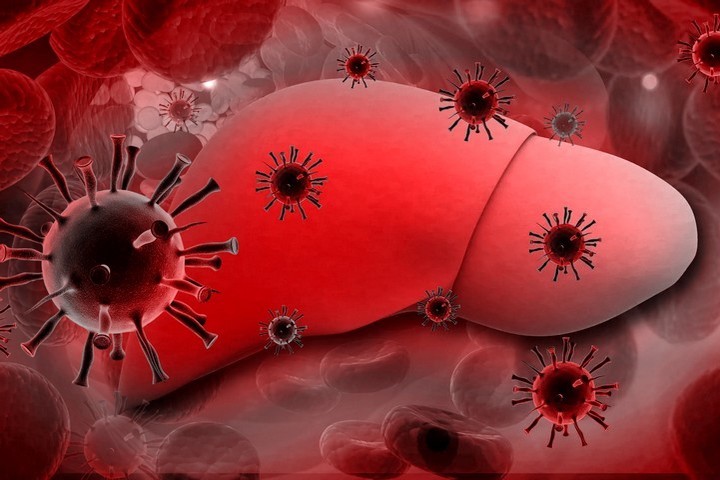 Гепатит B: передача инфекции, риски заражения
